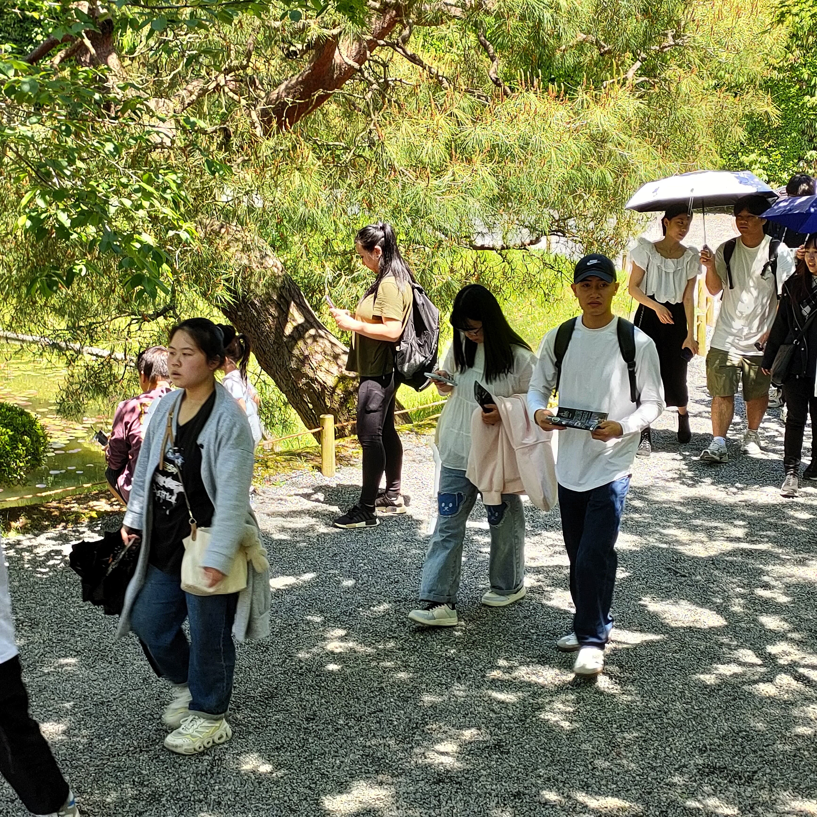 課外授業の散策